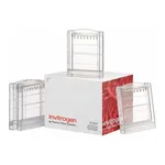 Thermo Fisher Scientific NuPAGE Tris-Acetate Mini Protein Gels, 3 to 8%, 1.0 mm, 2D-well