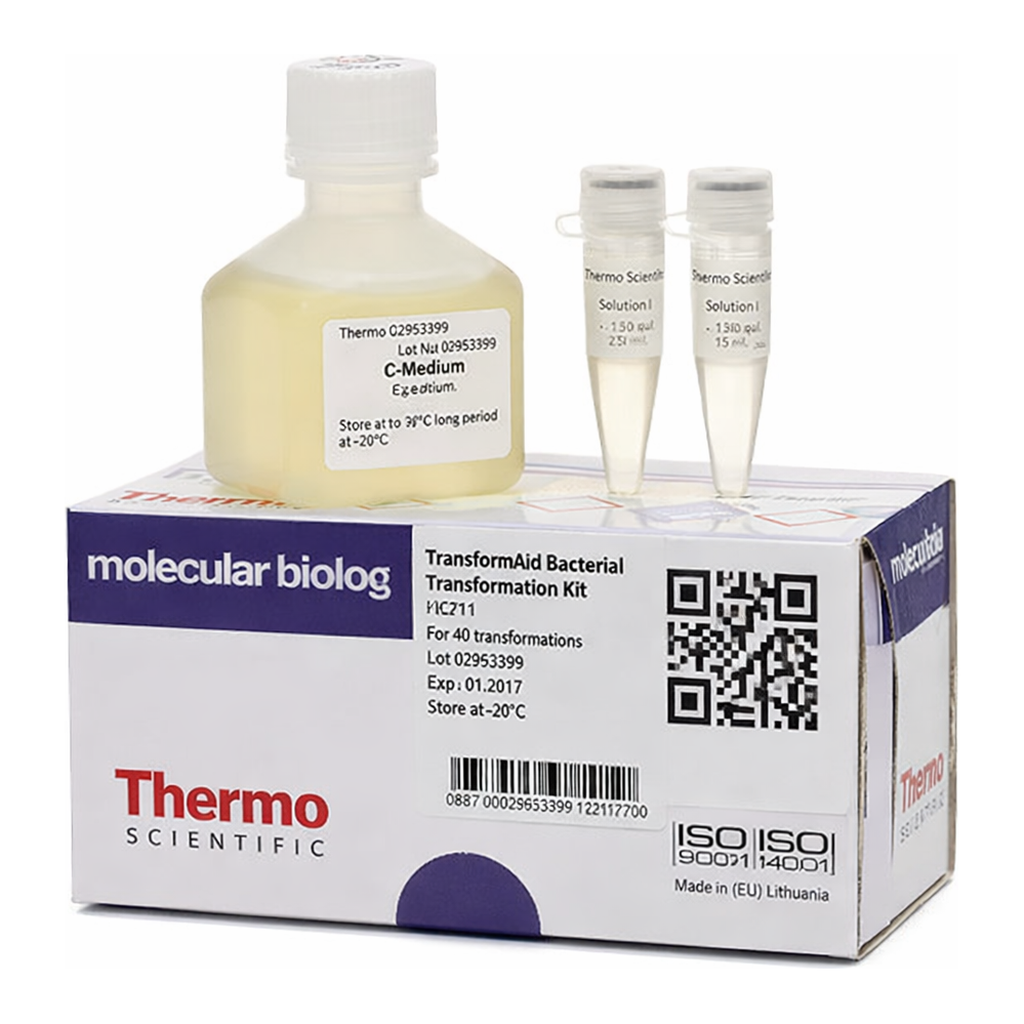 Thermo Fisher Scientific TransformAid Bacterial Transformation Kit