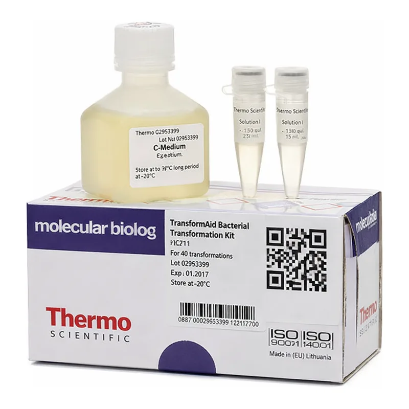 Thermo Fisher Scientific TransformAid Bacterial Transformation Kit