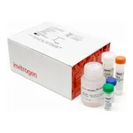 Thermo Fisher Scientific Click-iT RNA Alexa Fluor 488 Imaging Kit