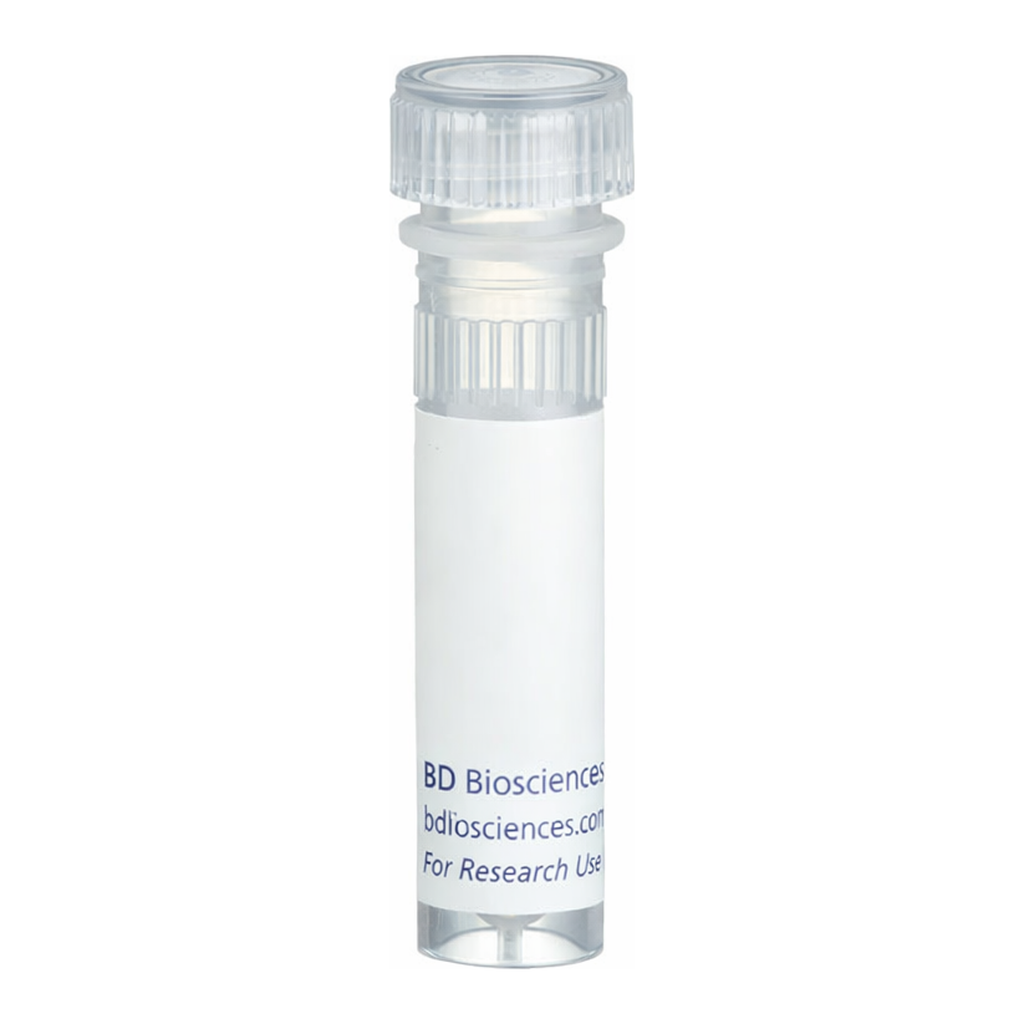 BD Biotin Rat Anti-Mouse CD90.2