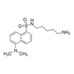 Merck Dansylcadaverine