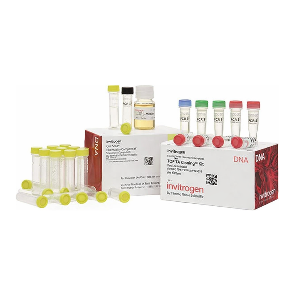 Thermo Fisher Scientific TOPO TA Cloning Kit, Dual Promoter, with One Shot MAX Efficiency DH5α-T1<sup>R</sup> E. coli, 25 Reactions