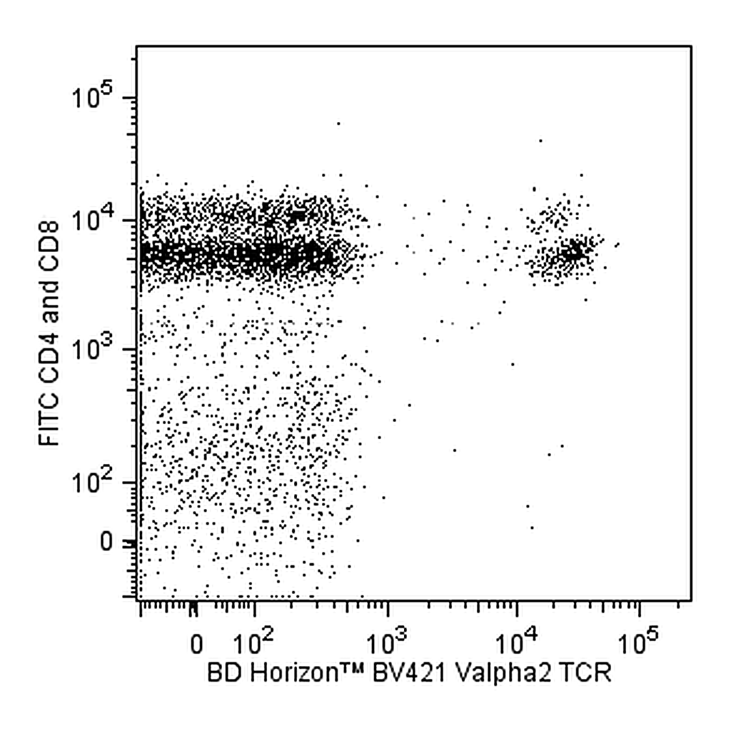 BD BV421 Rat Anti-Mouse Vα2 TCR