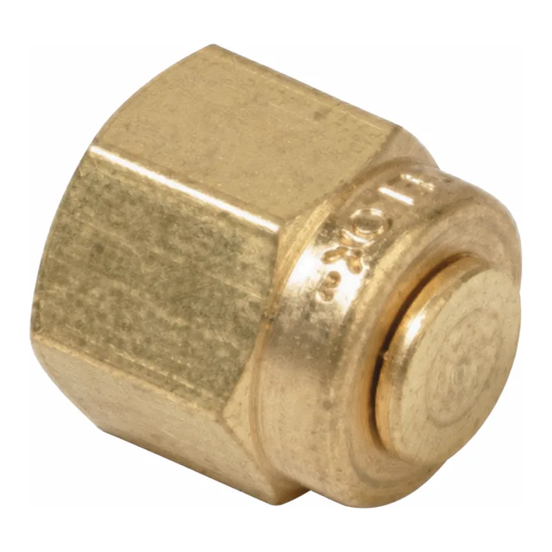 Merck SWAGELOK 100P,SS PLUGS 1/16"EA