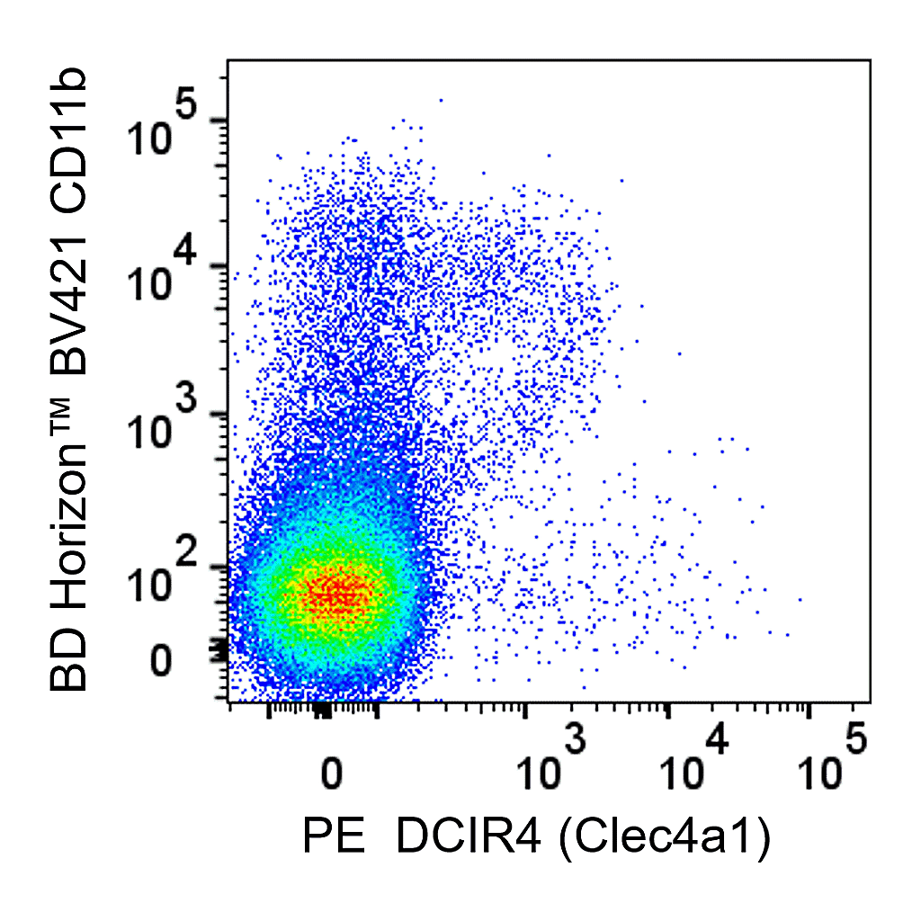 BD PE Rat Anti-Mouse DCIR4 (Clec4a1)
