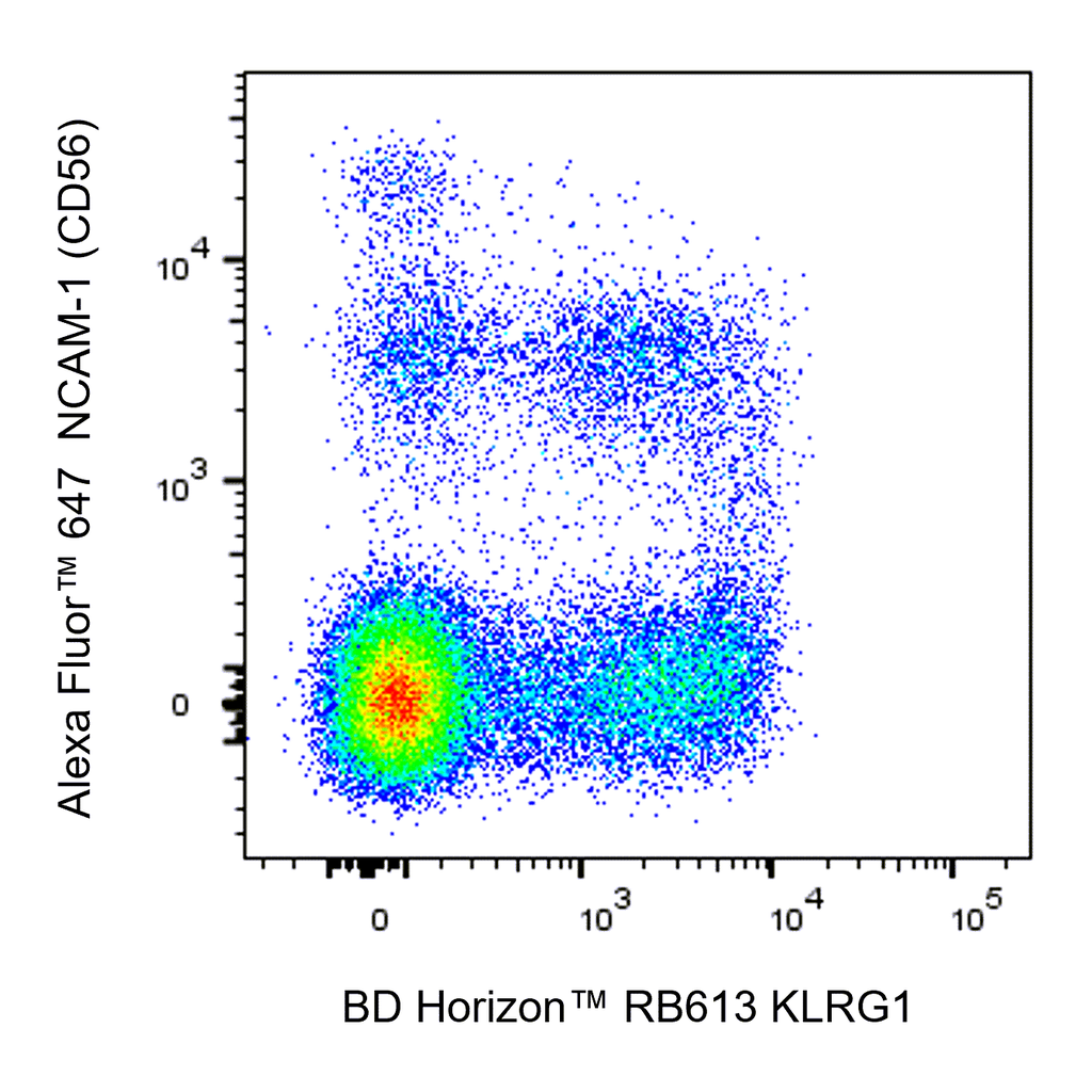 BD RB613 Mouse Anti-Human KLRG1