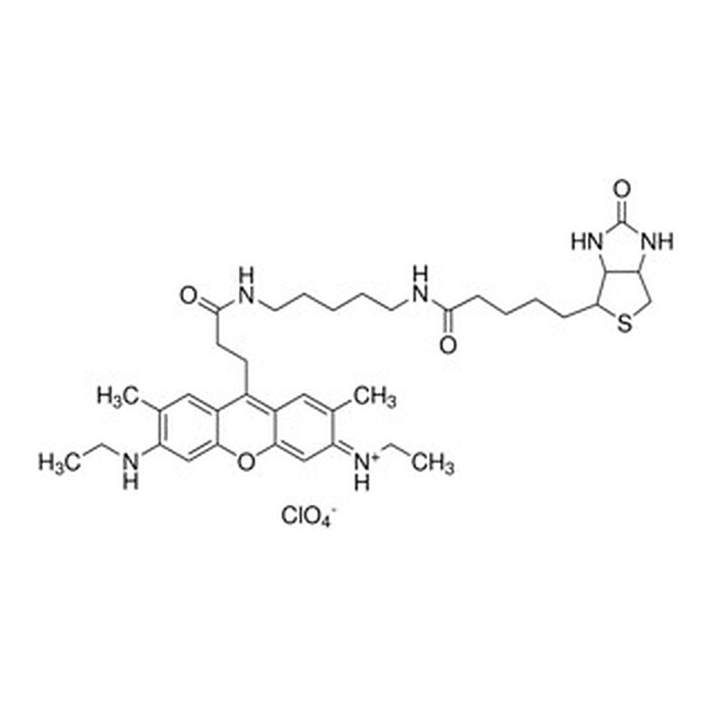 Merck ATTO 520-BIOTIN BIOREAGENT, FOR FLUORES&
