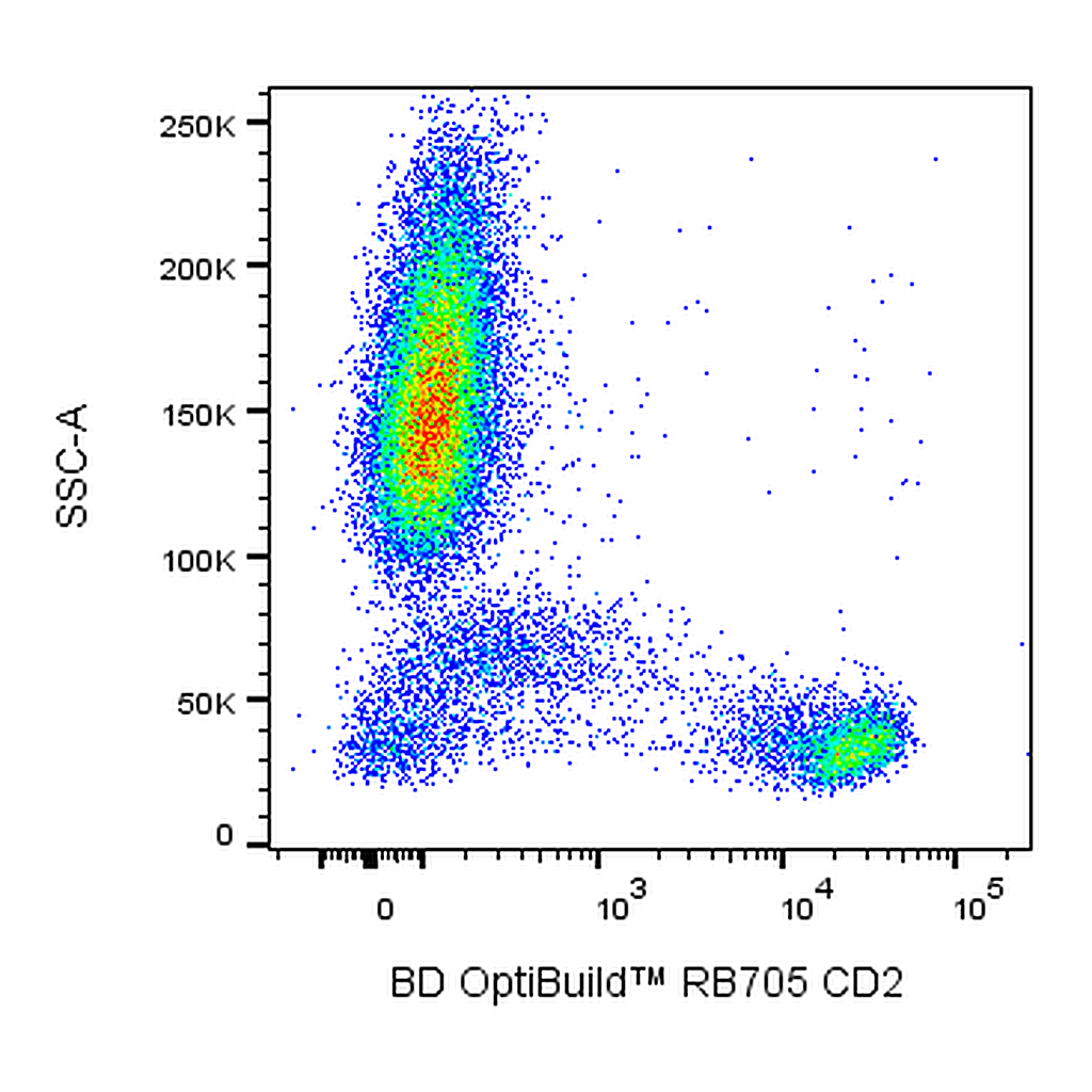 BD RB705 Mouse Anti-Human CD2