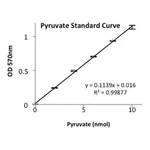 Merck PYRUVATE KINASE TYPE II FROM RABBIT MUSC