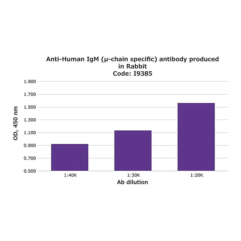 Merck Anti-Human IgM (mu-chain specific) antibody produced in rabbit