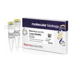 Thermo Fisher Scientific LweI (SfaNI) (10 U/μL), 100 units