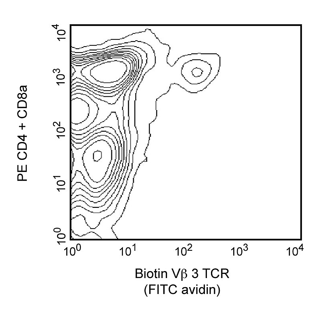 BD Biotin Hamster Anti-Mouse TCR Vβ3