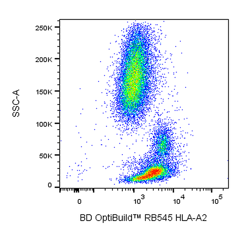 BD RB545 Mouse Anti-Human HLA-A2