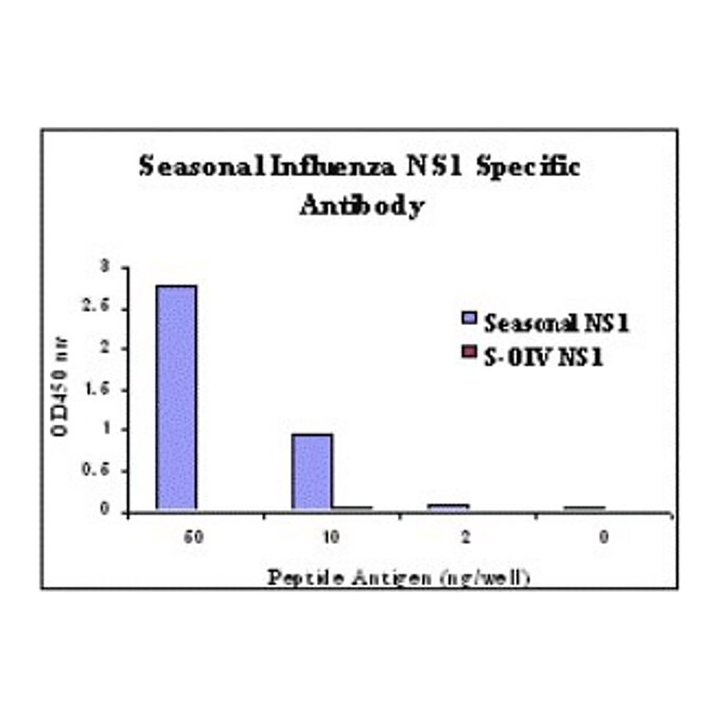 Merck Anti-Seasonal H1N1 Nonstructural Protein 1 antibody produced in rabbit