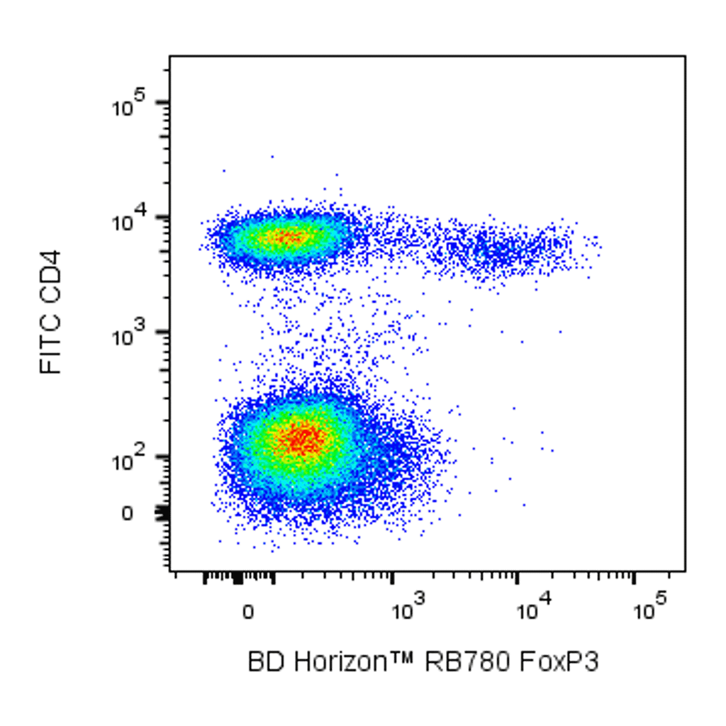 BD RB780 Mouse Anti-Human FoxP3