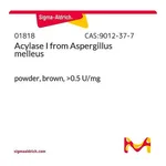 Merck Acylase I from Aspergillus melleus