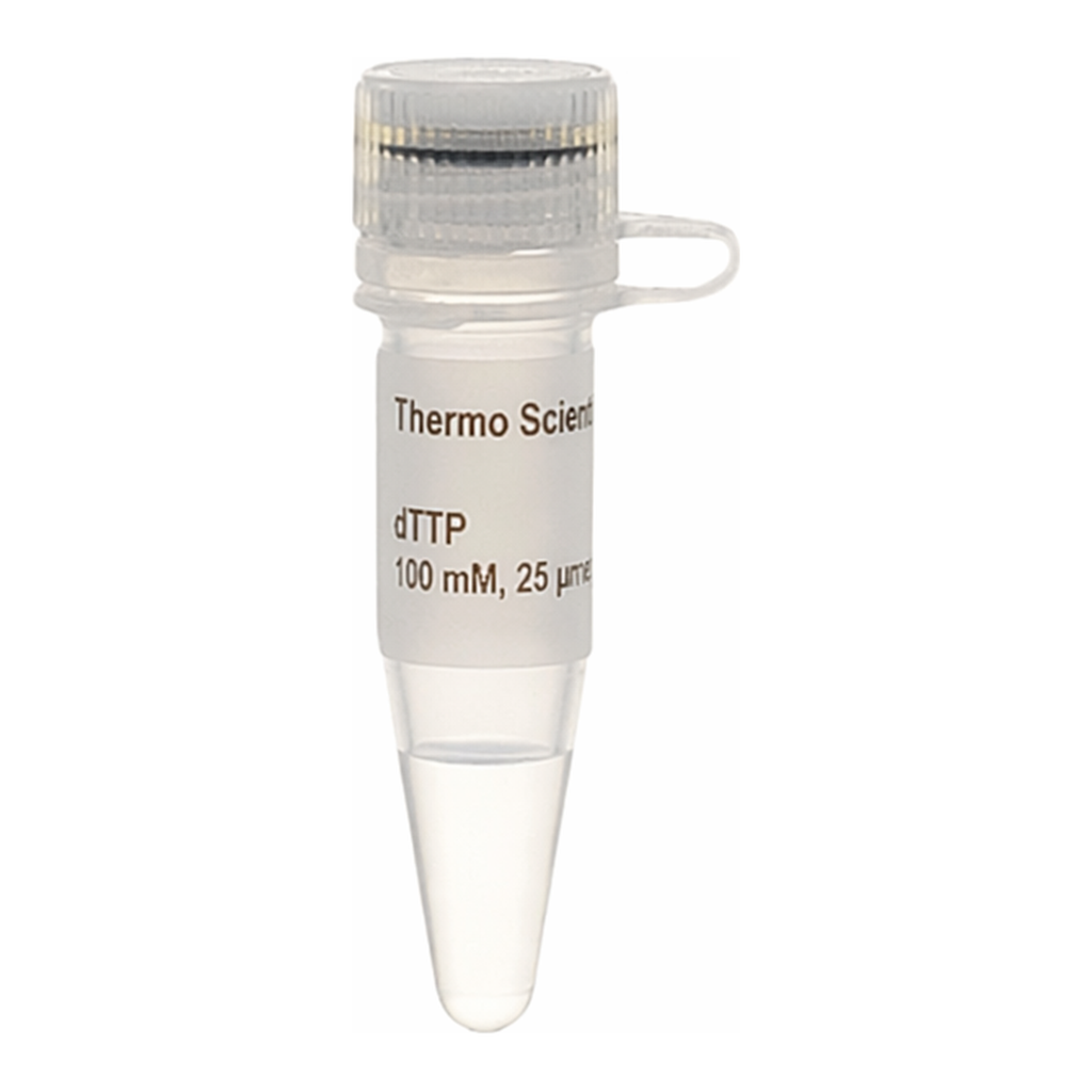Thermo Fisher Scientific dTTP Solution (100 mM)
