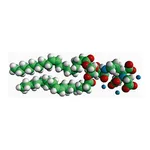Merck 18:1 DGS-NTA