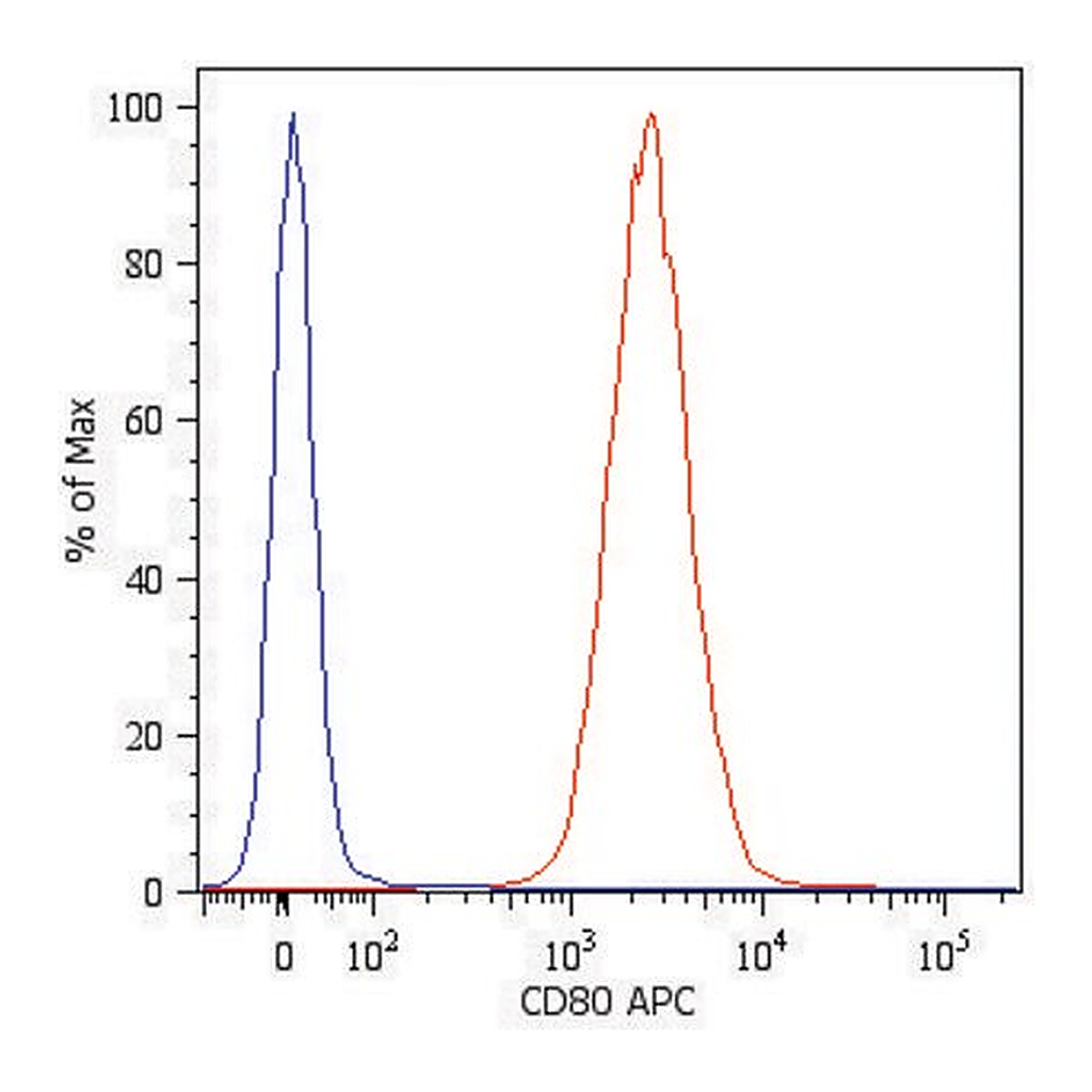 Merck Monoclonal Anti-CD80-APC antibody produced in mouse