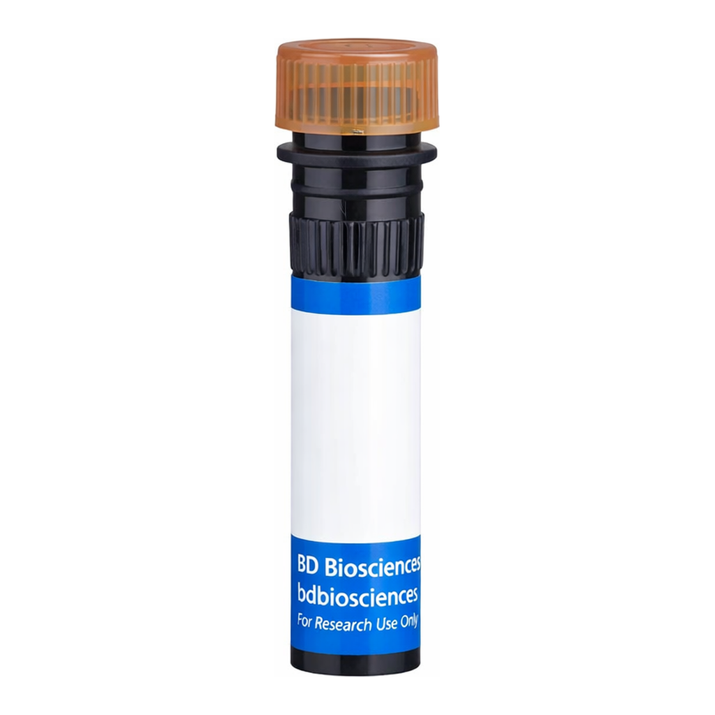BD RB705 Mouse Anti-Mouse Vβ 8 T-Cell Receptor