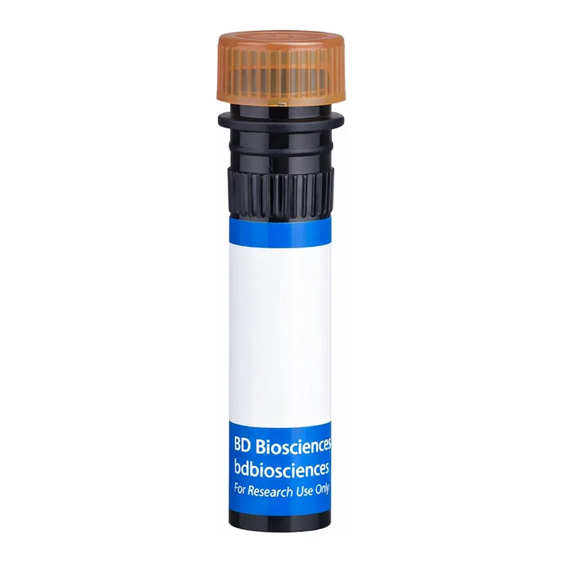 BD RB705 Mouse Anti-Mouse Vβ 8 T-Cell Receptor