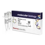 Thermo Fisher Scientific ScaI (10 U/μL), 1,000 units