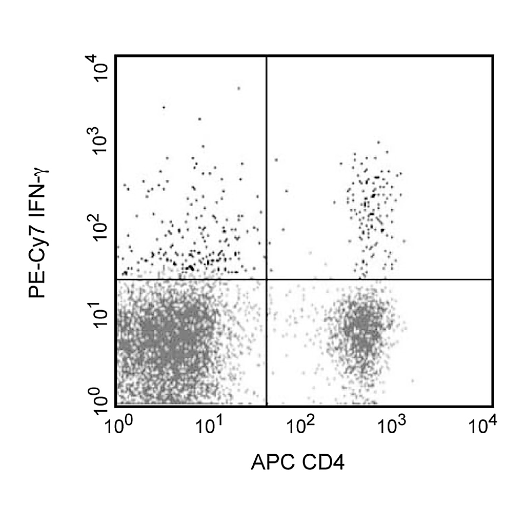 BD PE-Cy7 Rat Anti-Mouse IFN-γ