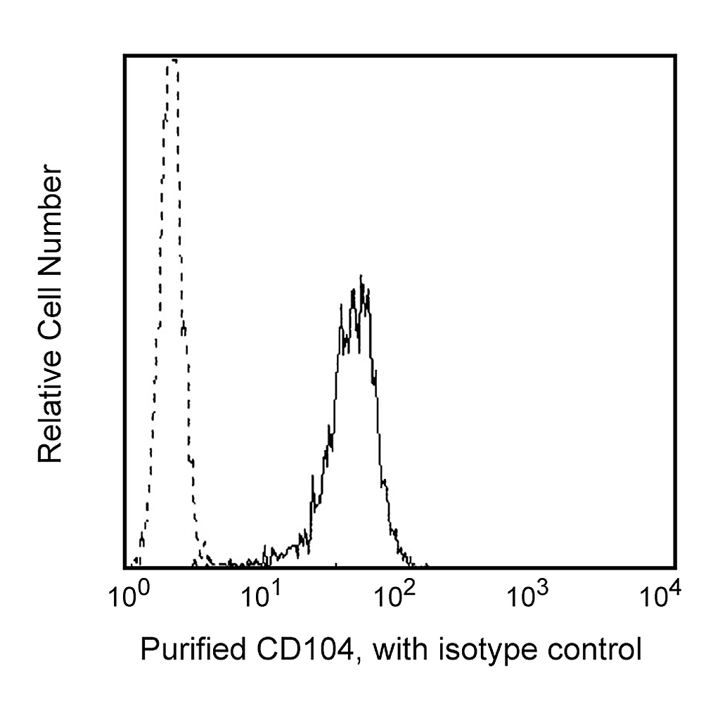 BD Purified Rat Anti-Human CD104