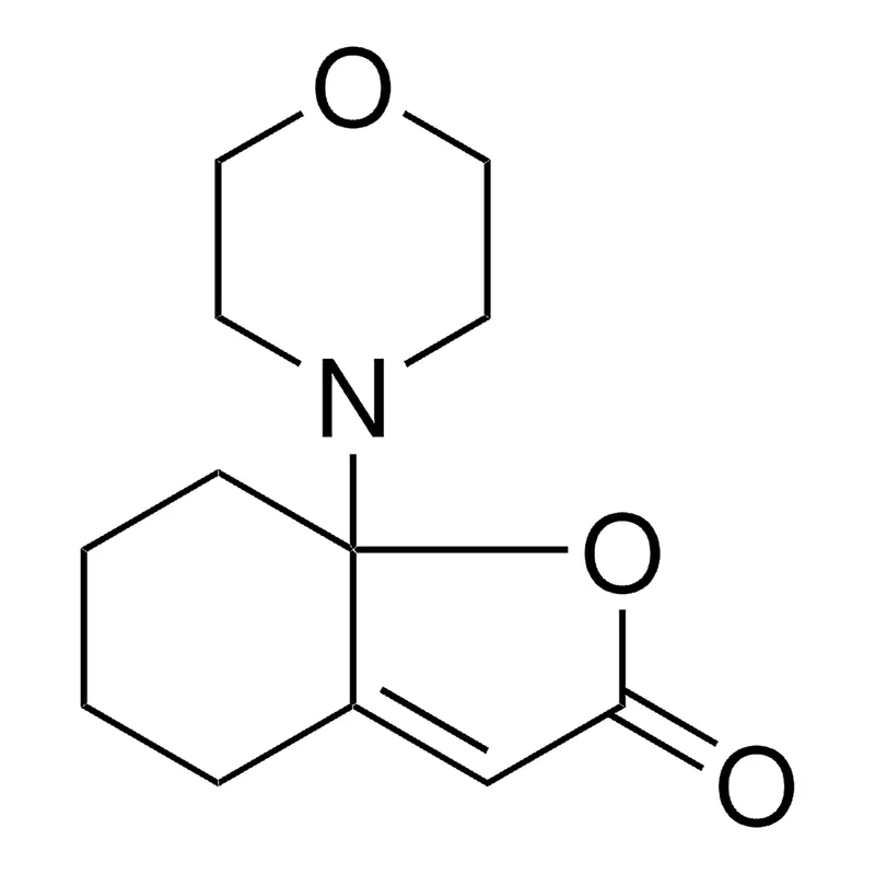 Merck 7A-MORPHOLIN-4-YL-5,6,7,7A-TET - 25 MG&