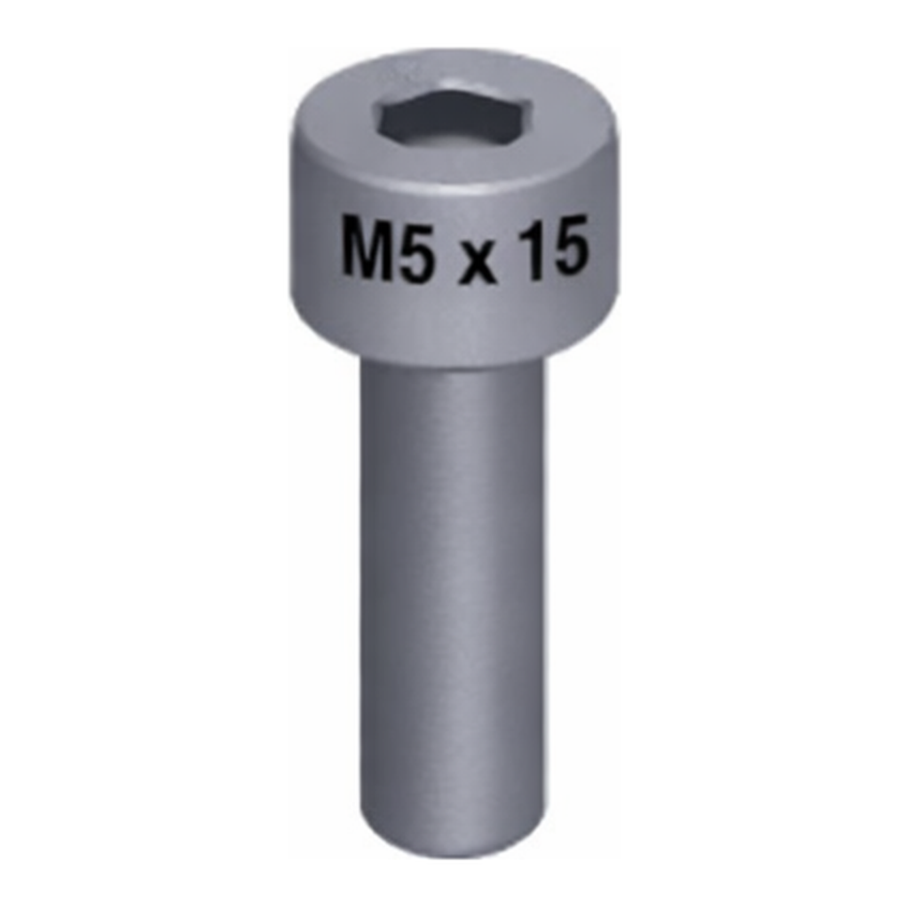 Waters Screw, M2.5 x 8, Skt Hd, SS