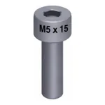 Waters Screw, M2.5 x 8, Skt Hd, SS