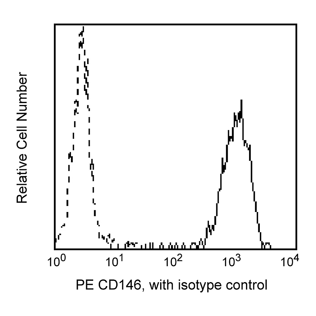 BD PE Mouse Anti-Human CD146