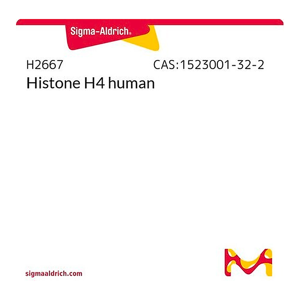 Merck Histone H4 human