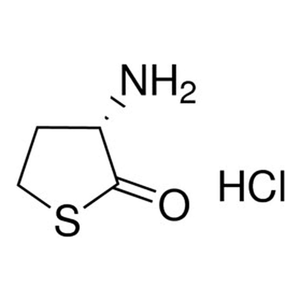 Merck L-HOMOCYSTEINE THIOLACTONE HCL         &