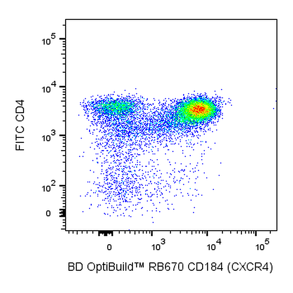BD RB670 Rat Anti-Mouse CD184 (CXCR4)