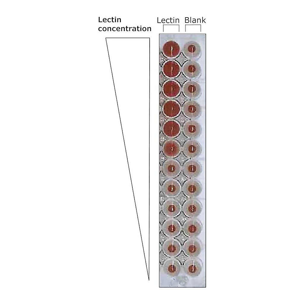 Merck LECTIN FROM TRITICUM VULGARIS FITC LABEL