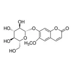 Merck SCOPOLIN