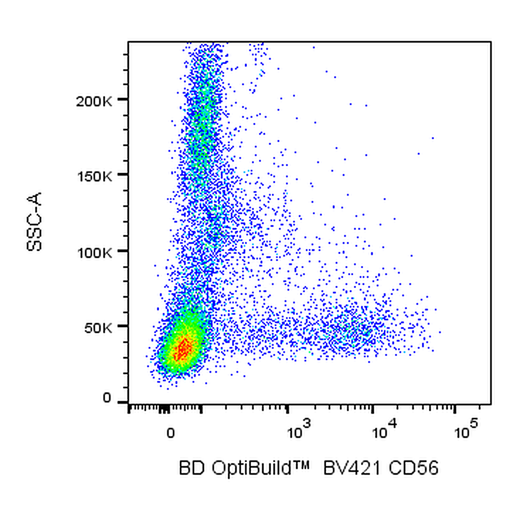 BD BV421 Mouse Anti-Human CD56 (NCAM-1)