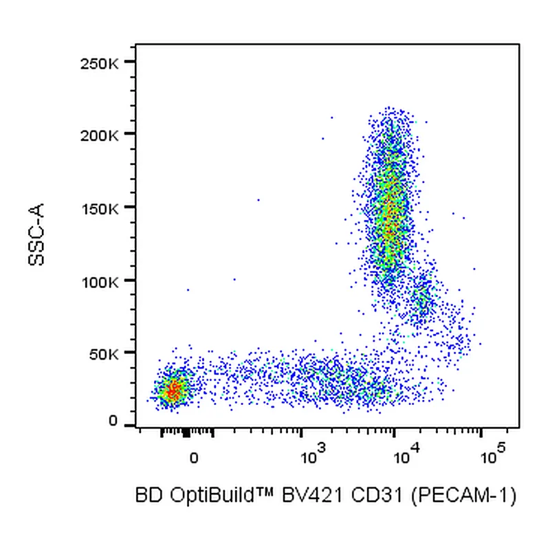BD BV421 Mouse Anti-Human CD31
