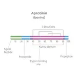 Merck APROTININ, BOVINE LUNG FOR GEL &