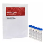 Thermo Fisher Scientific CellTracker Violet BMQC Dye, 5 x 0.1 mg