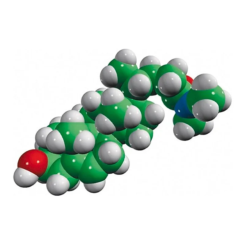 Merck DMHCA