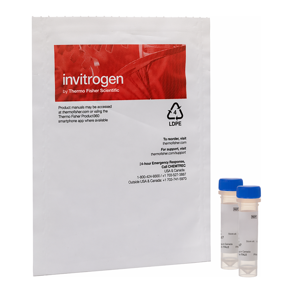 Thermo Fisher Scientific Zenon Alexa Fluor 488 Mouse IgG2a Labeling Kit, 50 Reactions kit