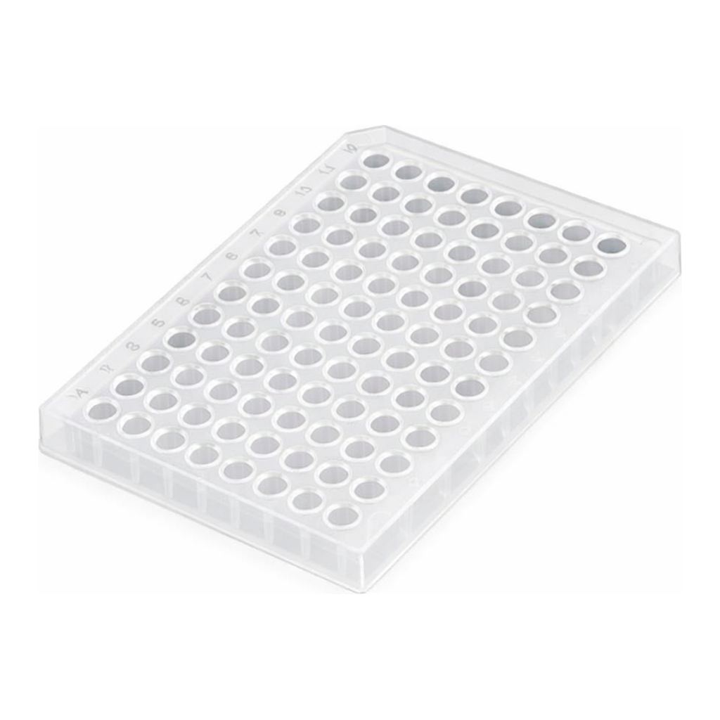 SPL PCR Plate