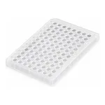 SPL PCR Plate