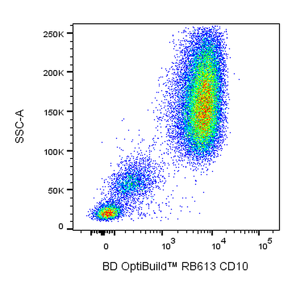 BD RB613 Mouse Anti-Human CD10