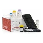 Thermo Fisher Scientific ProcartaPlex Human Immune Response Panel, 80plex