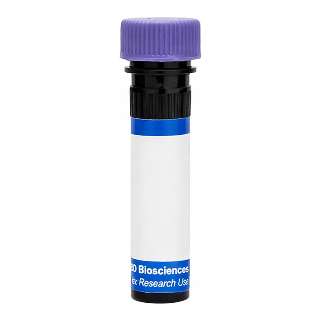 BD RB744 Mouse Anti-Human Delta-Like Protein 1