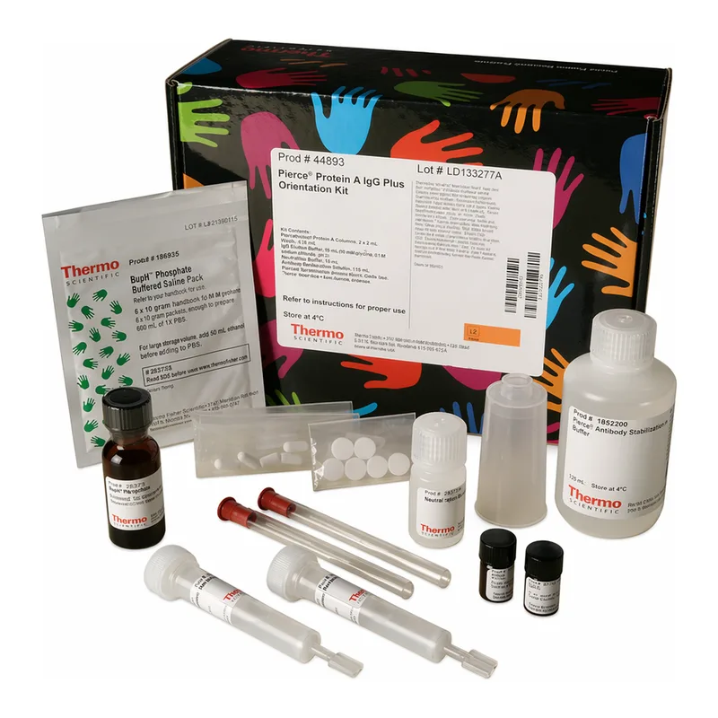 Thermo Fisher Scientific Pierce Protein A IgG Plus Orientation Kit, 2 mL